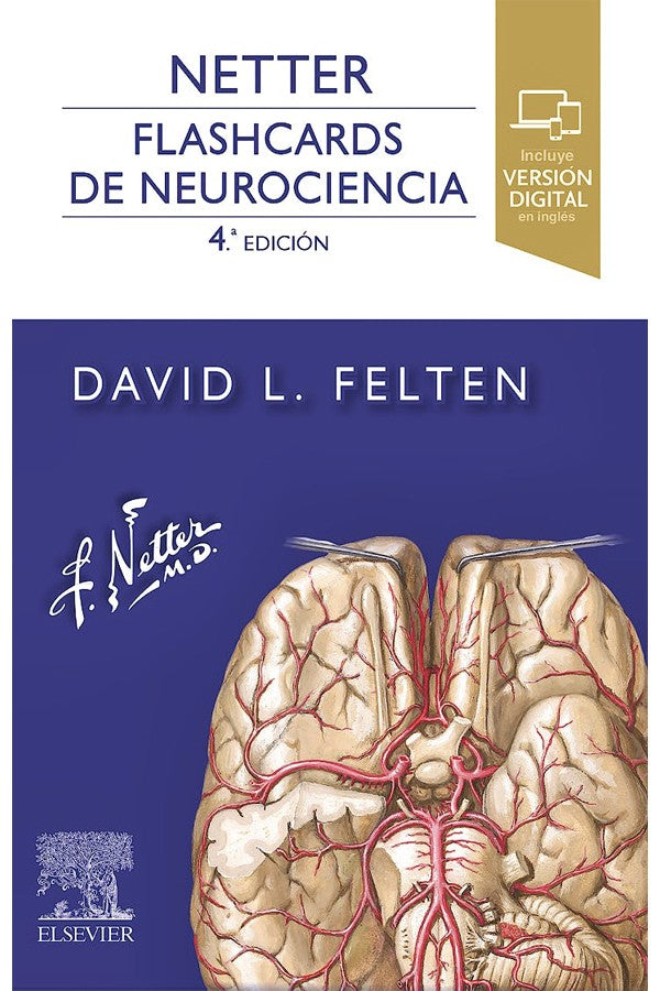 Netter. Flashcards de neurociencia 4ª Ed.