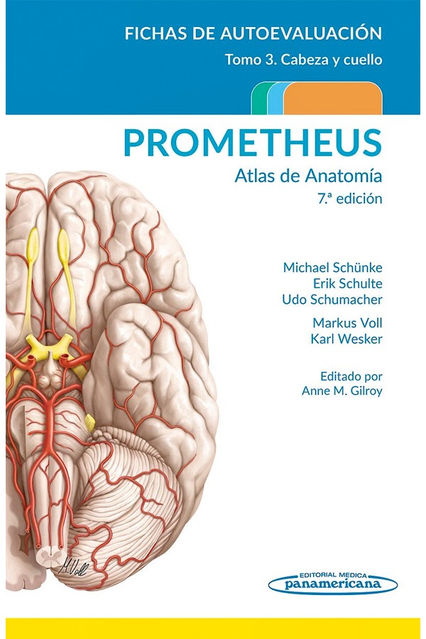 Prometheus. Atlas de anatomía 7ª Ed. Fichas de autoevaluación Tomo 3: Cabeza y cuello