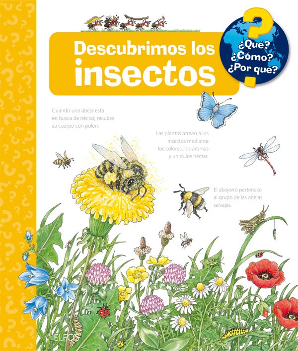 Descubrimos los insectos ¿Qué? ¿Cómo? ¿Por qué?