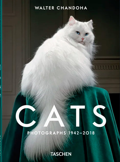 Walter Chandoha. Cats. Photographs 1942-2018