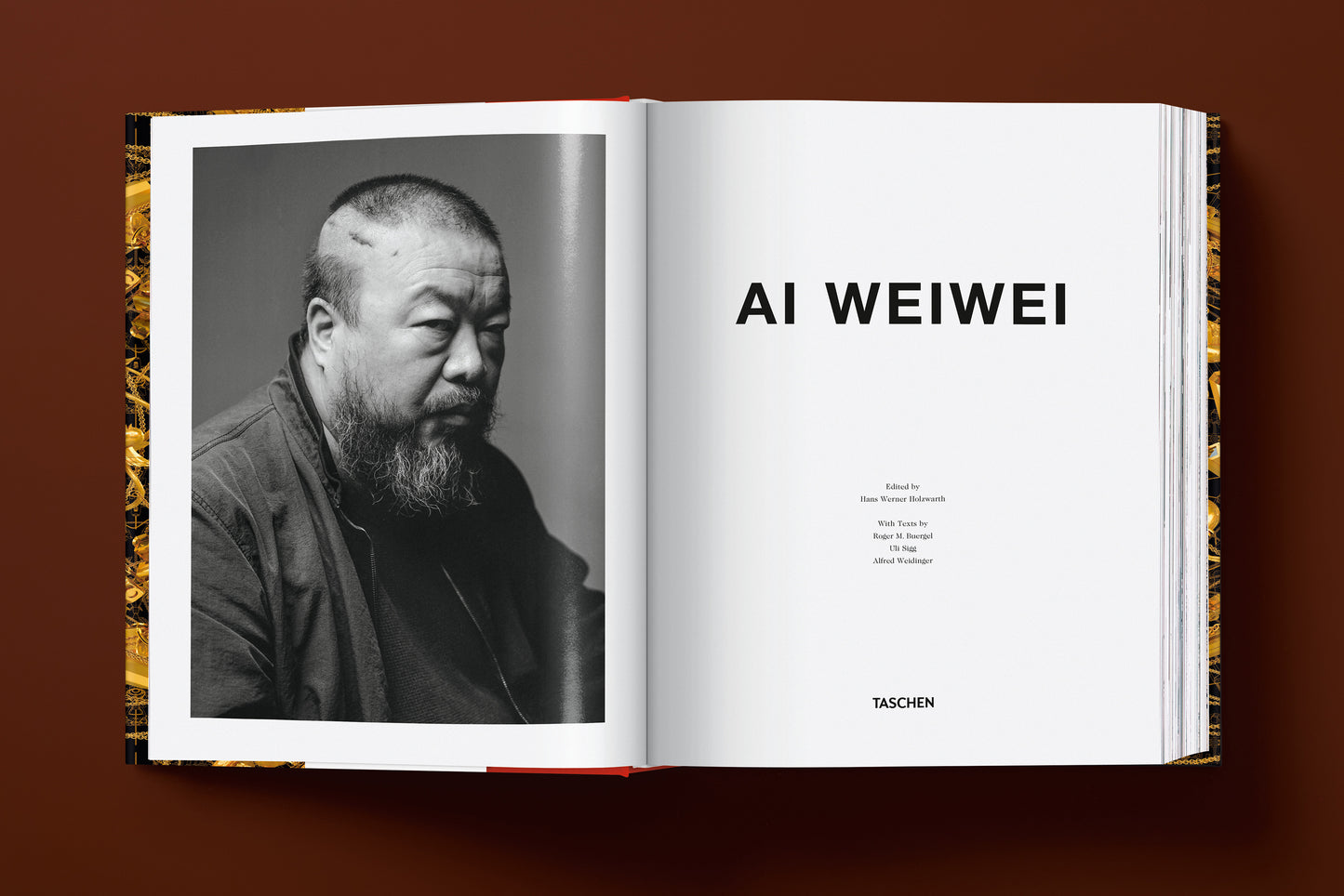 Ai Weiwei. Updated Edition