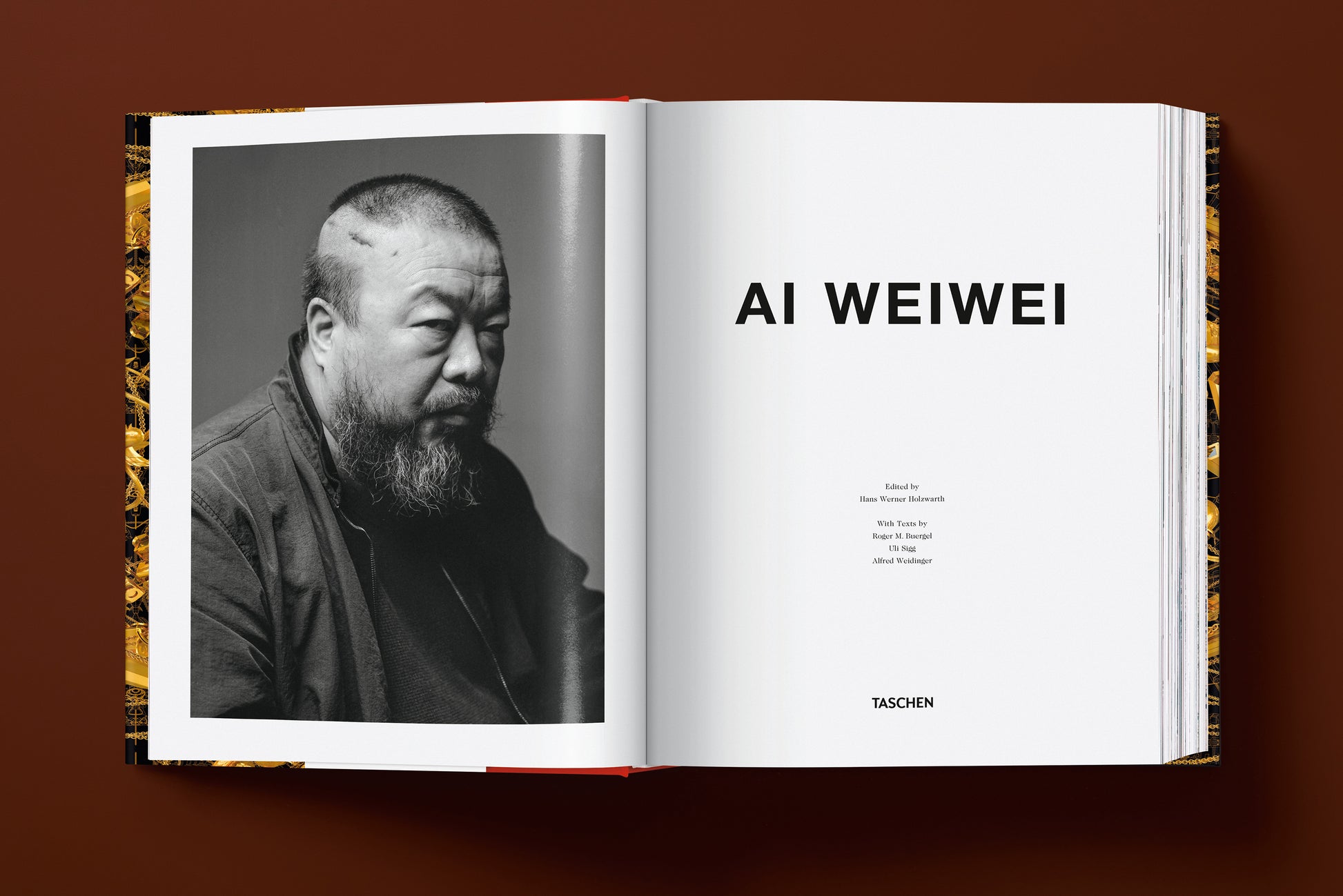 Ai Weiwei. Updated Edition