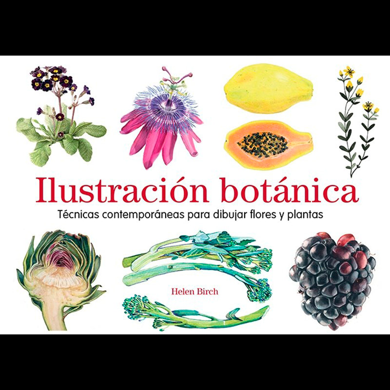 Ilustración Botánica