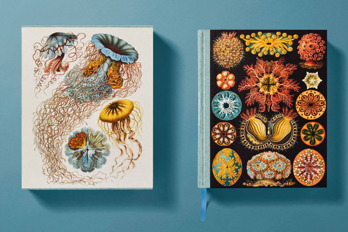 The Art and Science of Ernst Haeckel
