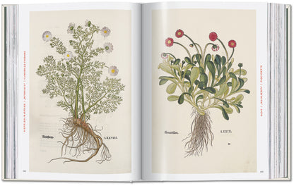 The New Herbal. Leonhart Fuchs