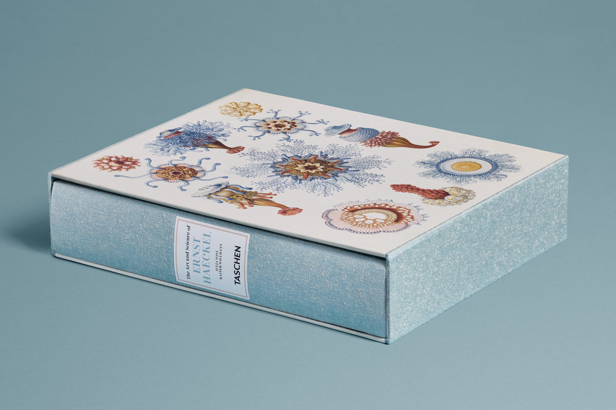 The Art and Science of Ernst Haeckel