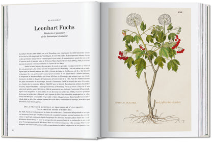 The New Herbal. Leonhart Fuchs