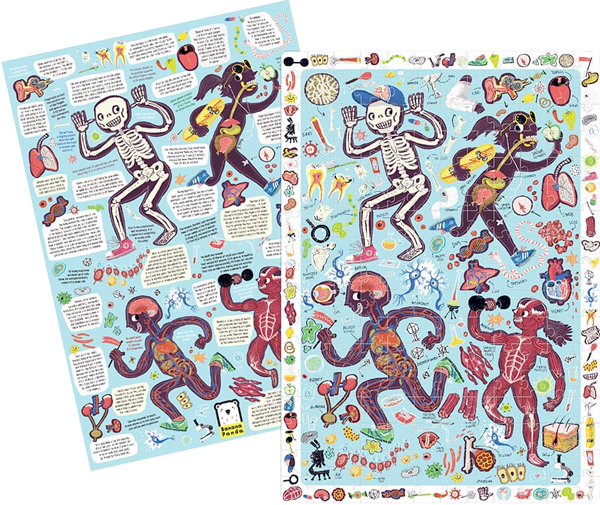 Puzzlevison Body Puzzle Observation My Body (204 piezas) 7+ – Contrapunto