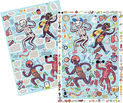 Puzzle Observation My Body (204 piezas) 7+