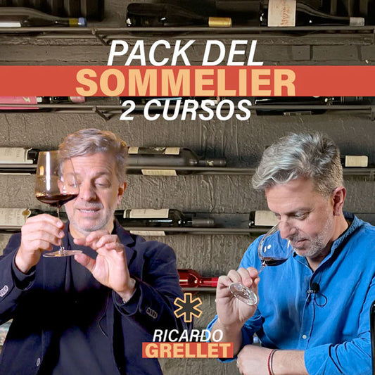 La guía del Sommelier para entender y amar el vino