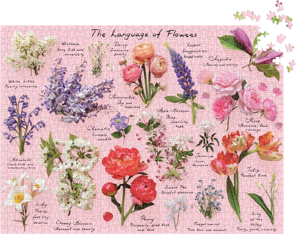 Puzzle Language of Flowers (1000 piezas)