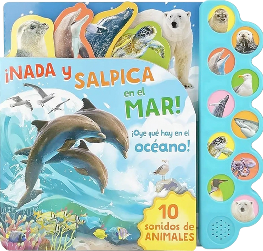 10 Sonidos del océano ¡Nada y salpica en el mar!