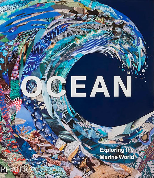 Ocean: Exploring the marine world