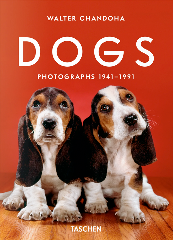 Walter Chandoha. Dogs. Photographs 1941–1991