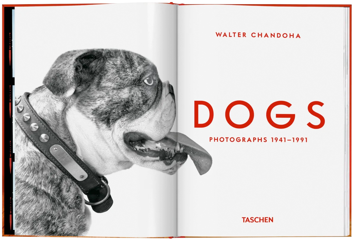 Walter Chandoha. Dogs. Photographs 1941–1991