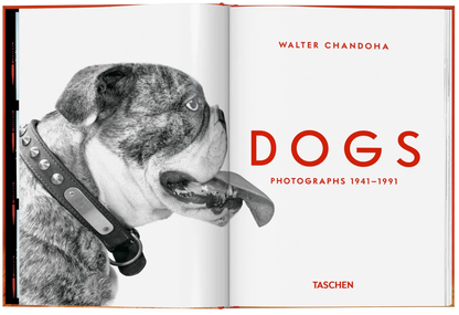 Walter Chandoha. Dogs. Photographs 1941–1991
