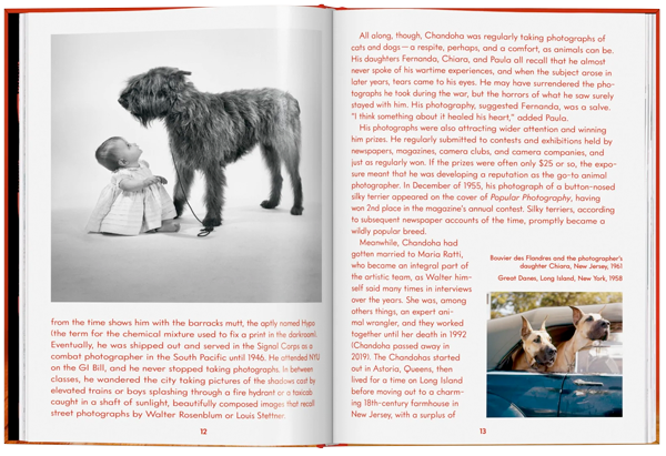 Walter Chandoha. Dogs. Photographs 1941–1991