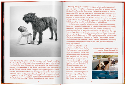 Walter Chandoha. Dogs. Photographs 1941–1991