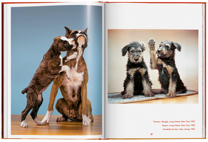 Walter Chandoha. Dogs. Photographs 1941–1991