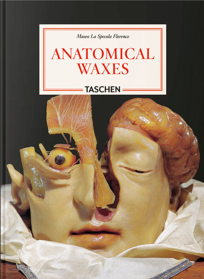Anatomical Waxes. 45th Ed.