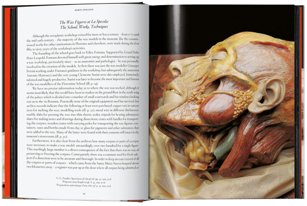 Anatomical Waxes. 45th Ed.