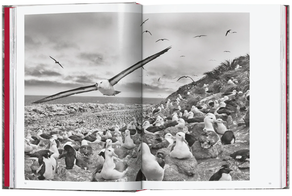 Sebastião Salgado. Génesis. 45th Ed.
