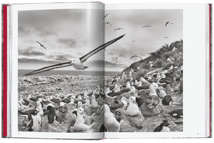 Sebastião Salgado. Génesis. 45th Ed.