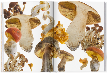The Gourmand's Mushroom. A collection of stories and recipes