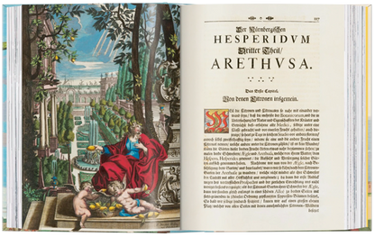J. C. Volkamer. The Book of Citrus Fruits. 45th Ed.