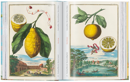 J. C. Volkamer. The Book of Citrus Fruits. 45th Ed.