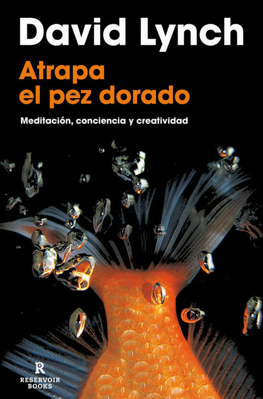 Atrapa el pez dorado