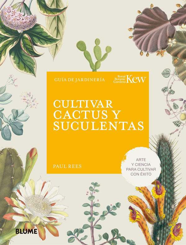 Cultivar cactus y suculentas
