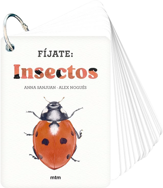 Fíjate: Insectos