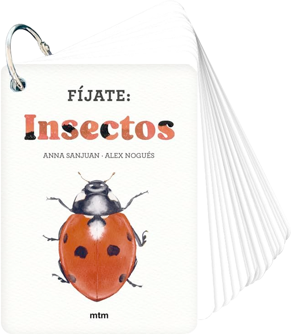 Fíjate: Insectos – Contrapunto