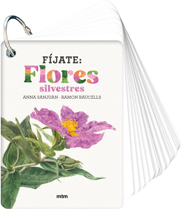 Fíjate: Flores silvestres