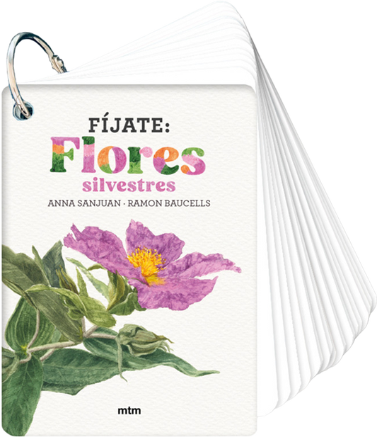 Fíjate: Flores silvestres