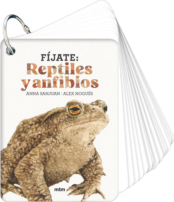 Fíjate: Réptiles y anfibios