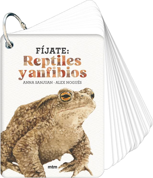Fíjate: Réptiles y anfibios