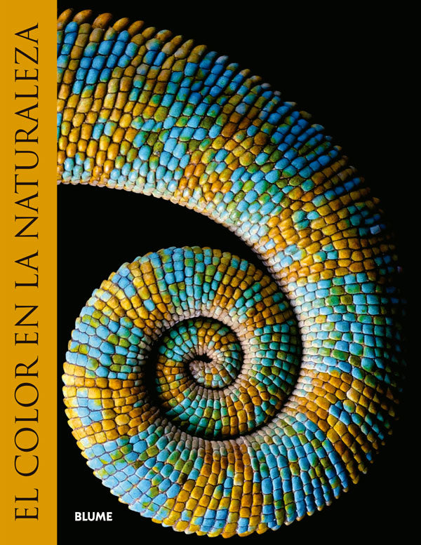 El color en la naturaleza