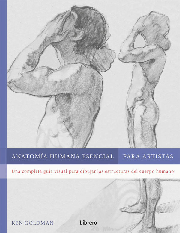 Anatomía humana esencial para artistas