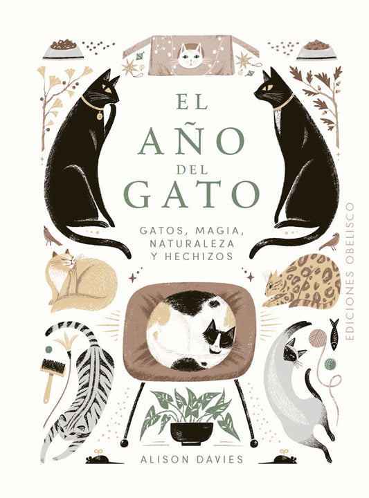 El año del gato