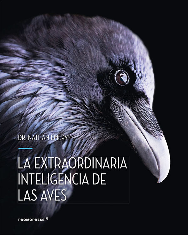 La extraordinaria inteligencia de las aves