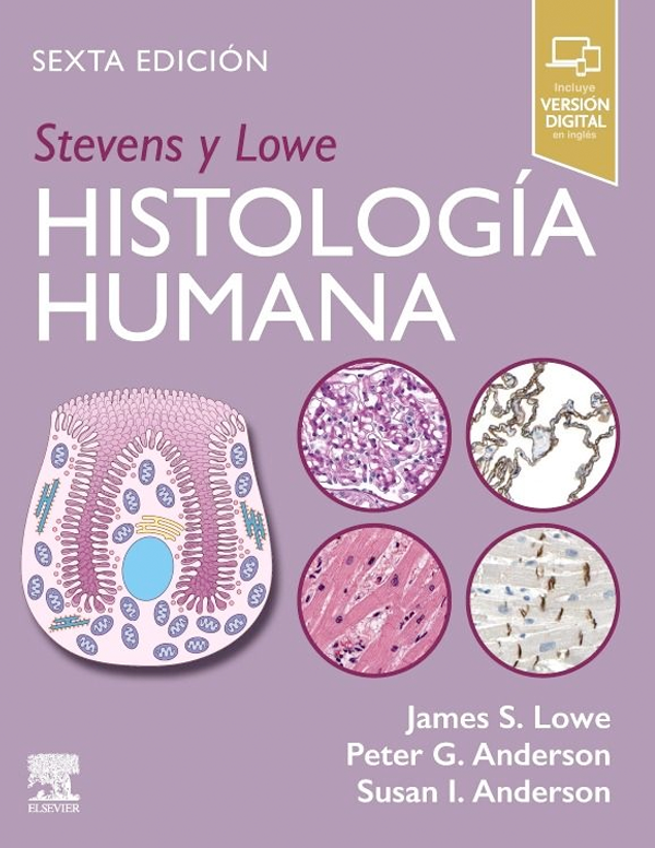 Stevens y Lowe. Histología humana 6ª Ed.