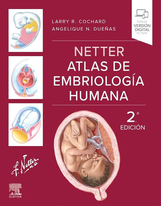 Netter. Atlas de embriología humana 2ª Ed.