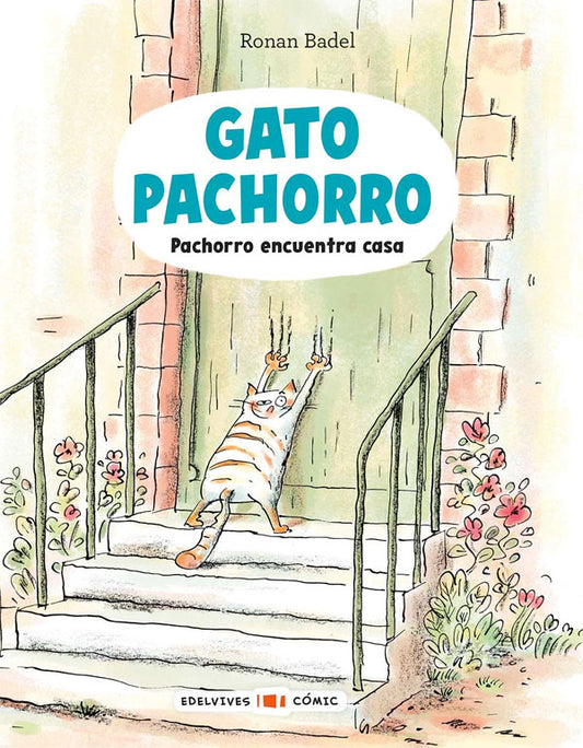 Gato pachorro 1. Pachorro encuentra casa