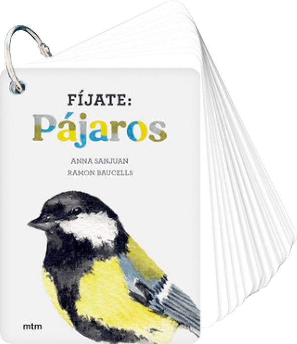 Fíjate: pájaros