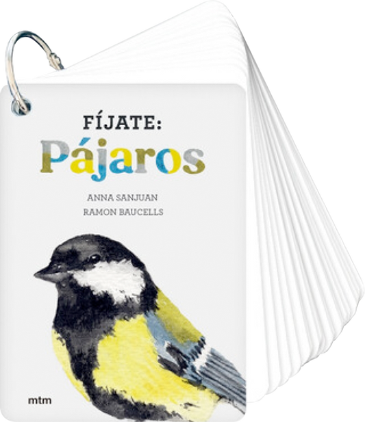 Fíjate: pájaros