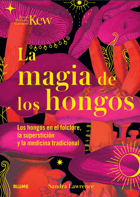 La magia de los hongos