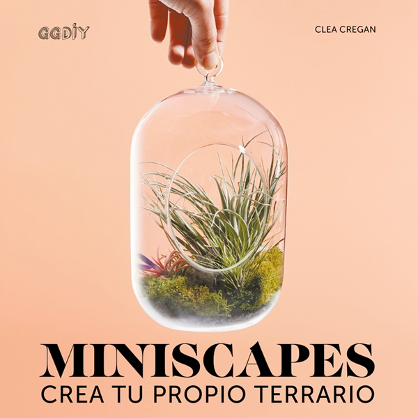 Miniscapes. Crea tu propio terrario