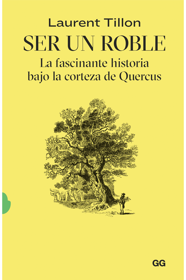 Ser un roble. La fascinante historia bajo la corteza